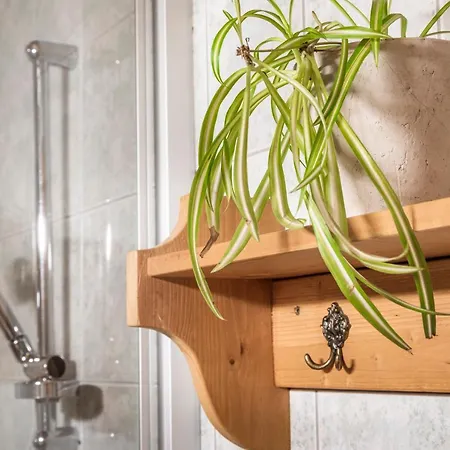 Hallmoosgut Apartment *