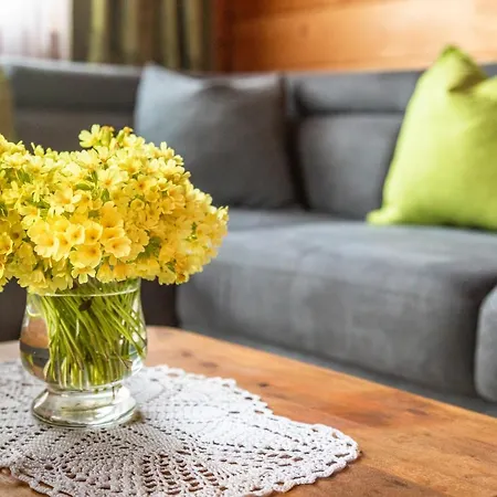 Hallmoosgut Apartment St. Johann im Pongau