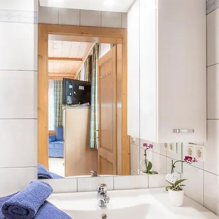 Apartment Hallmoosgut