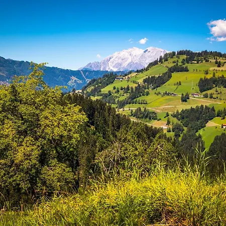 Apartmán Hallmoosgut *