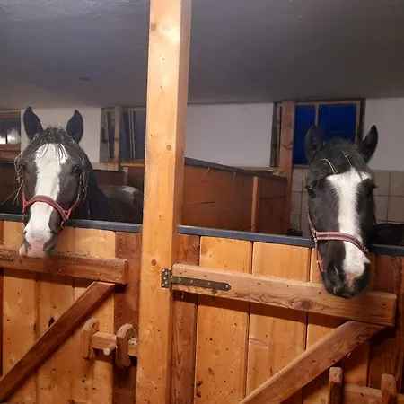 Hallmoosgut Apartment